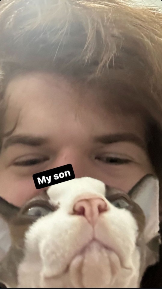 Tumblr media