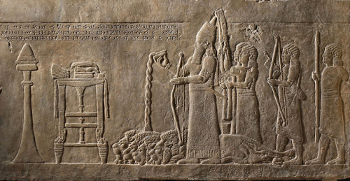 historyarchaeologyartefacts:Relief showing king Ashurbanipal pouring a libation over the dead lions,