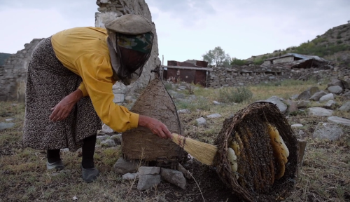 365filmsbyauroranocte: Honeyland (Tamara Kotevska &amp; Ljubomir Stefanov, 2019)