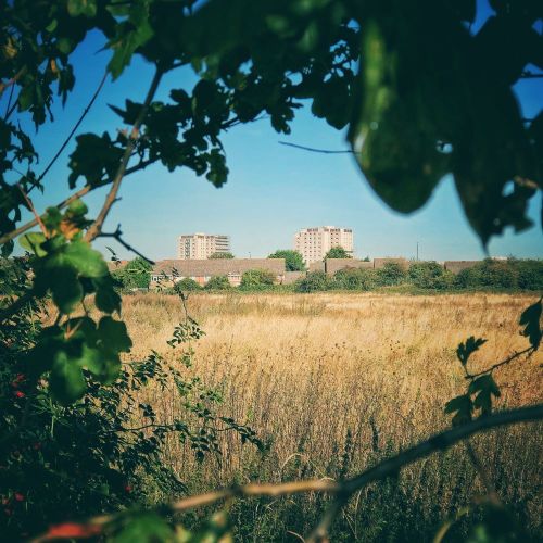 Edgeland. South London, September 2019.