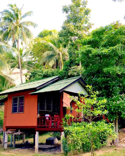 juliettethedragon:  Our #privatebungalow at Pim’s. #roots #simple #basic #homesweethome #jungle #les
