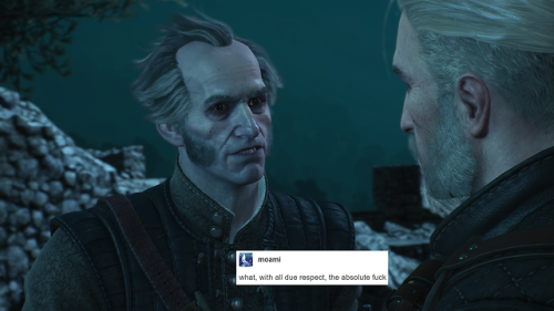 Blood and Wine + text posts(Please don’t tag as: Dettlaff x Regis OR Dettlaff x Regis x Geralt.) (No