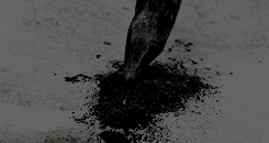 peletiersdixon:  We’re not built to kill. We don’t have claws or fangs or armor.