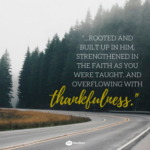 We are rooted and built up in Him. Because of this, we have so much to be thankful for.