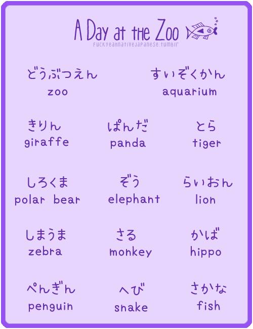 A day at the zoo in Japanese!