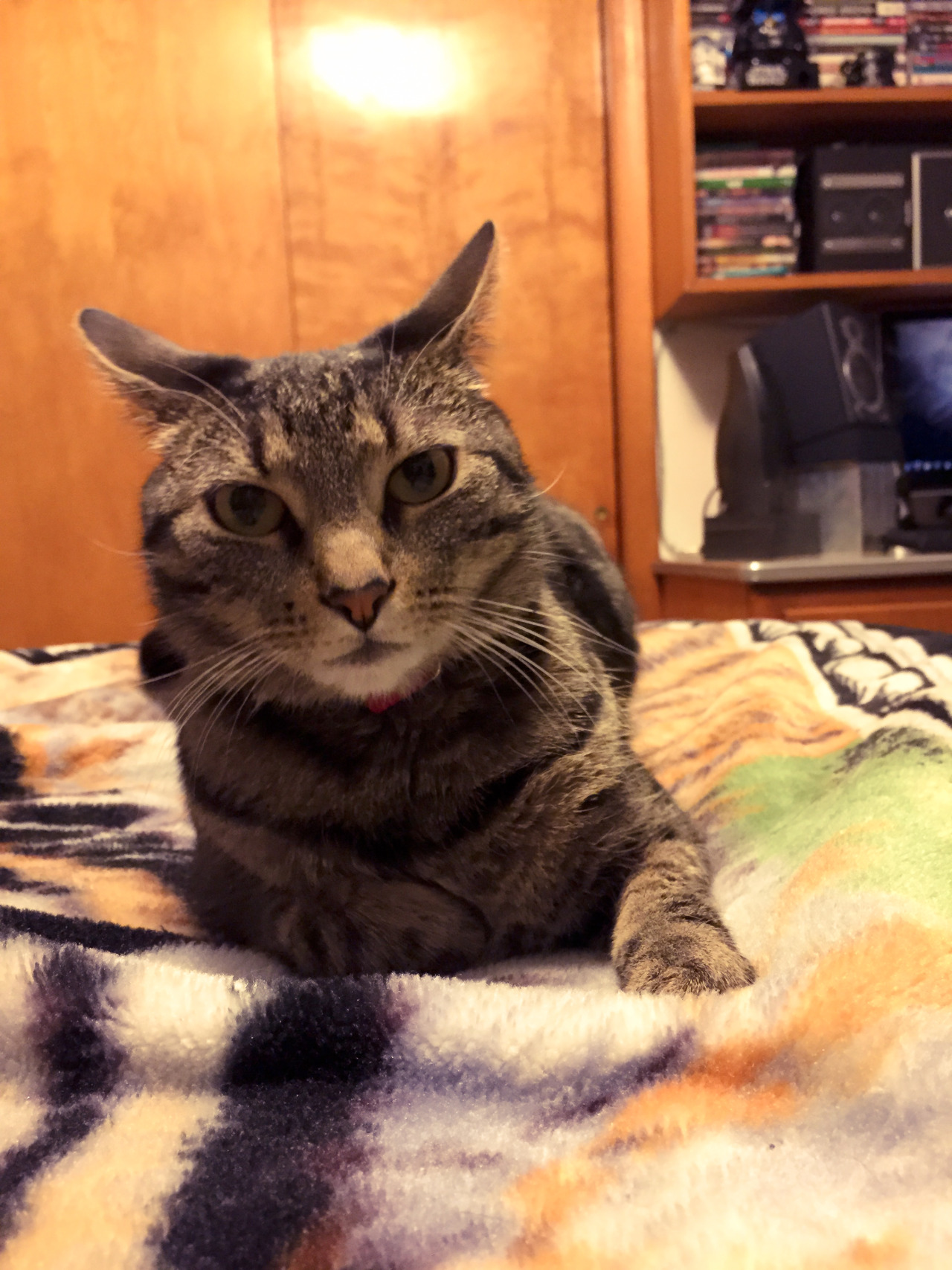 mykeowns:  The Yawn. 