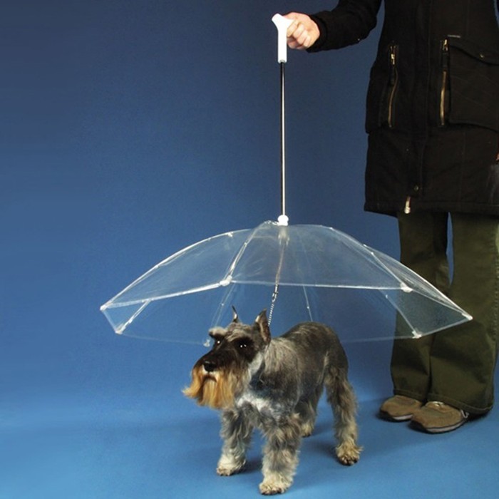 nyctaeus: Olena Slyesarenko  Todo bien con tu Paraguas pero ese perro es tan petiso