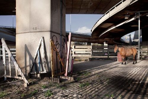 A40A close-knit community of travellers living under the A40 flyover in London.