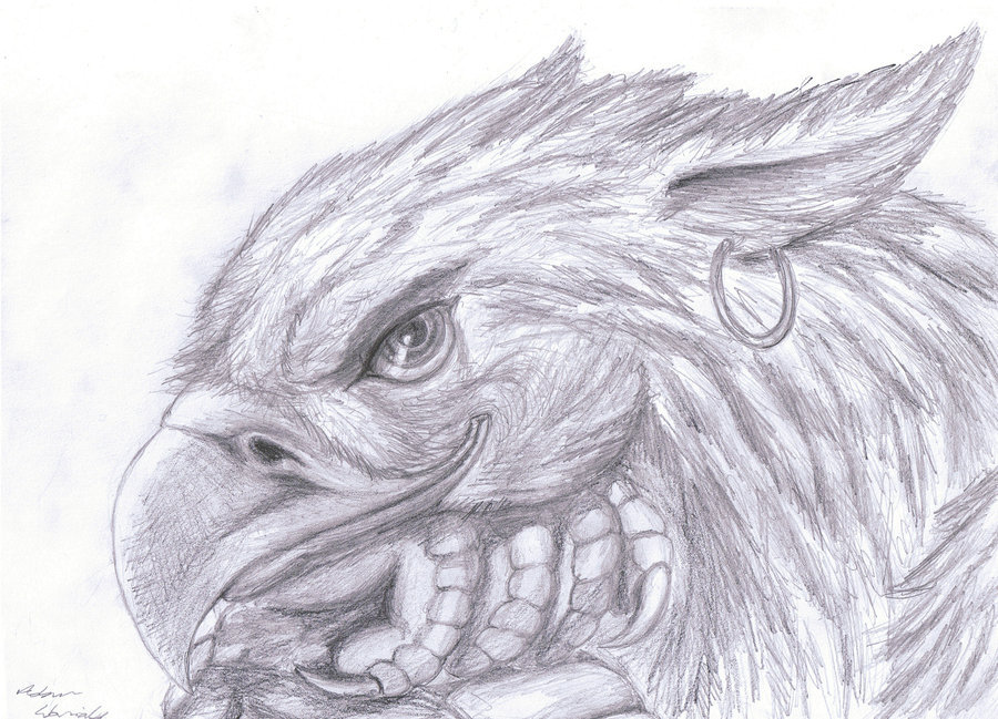  A beautiful example of the mystical Gryphon&hellip; Look at those eyes, EC.