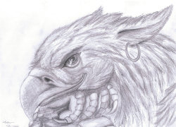  A beautiful example of the mystical Gryphon&hellip; Look at those eyes, EC.  Yes&hellip; i love gryphons &lt;3 
