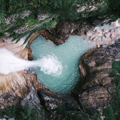 elephants-and-paradise:  kai-tropic:  aloasis:  •Tropical // Indie•   ❀ CHECK OUT MY BLOG. DO IT. ❀ 