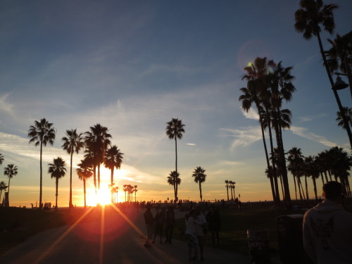 Venice Beach- CA