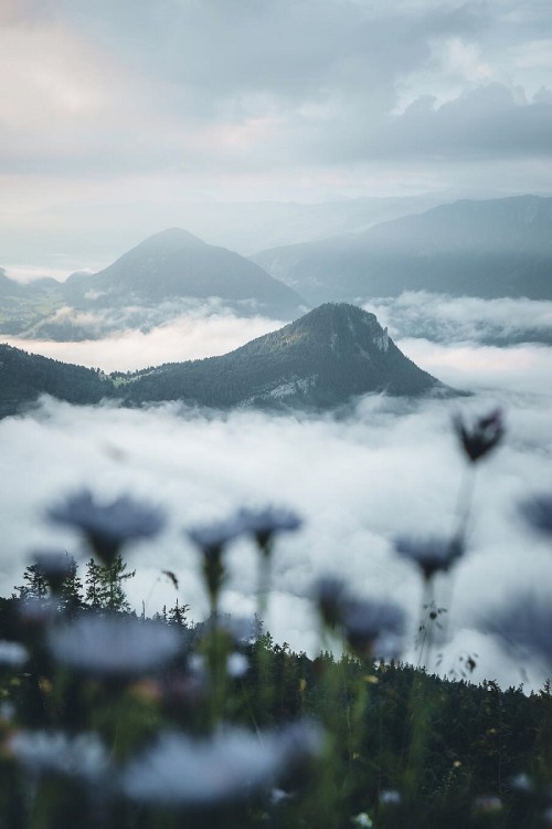 alecsgrg:Cotton candy views | ( by Manuel Dietrich )