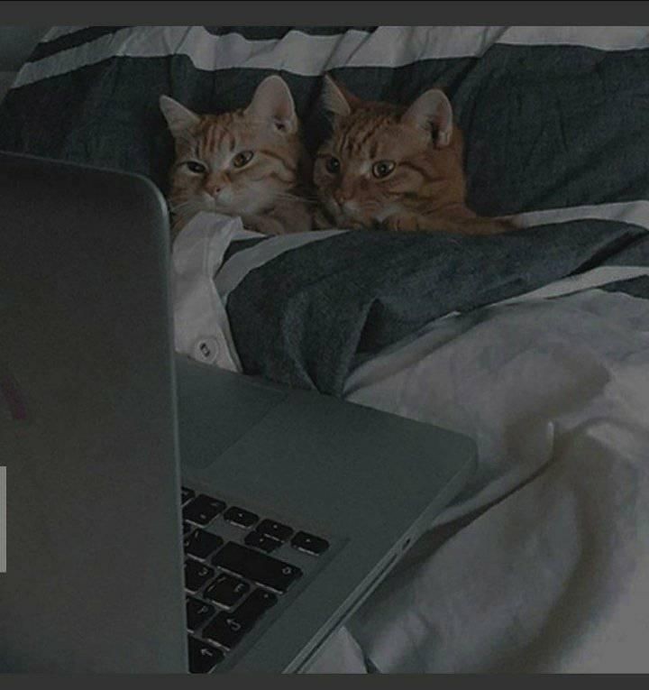 elsesle:this could be us 👉🏻👈🏻