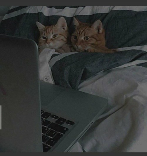 elsesle:this could be us 👉🏻👈🏻