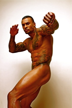 David McIntosh