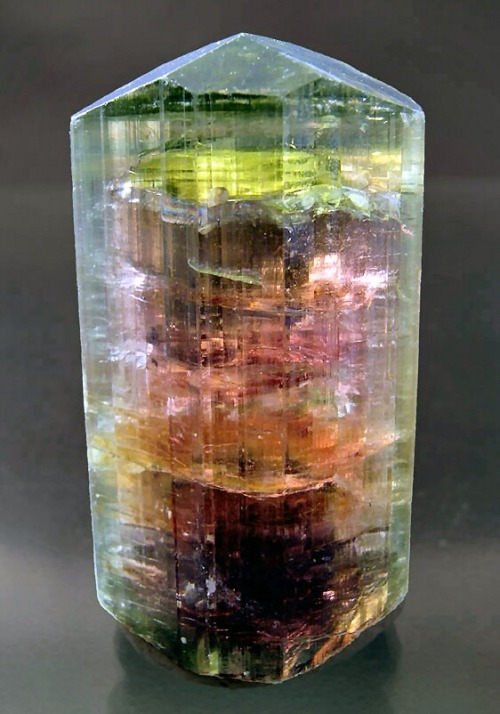 fuckyeahcrystals:Liddicoatite tourmaline(Holy-)