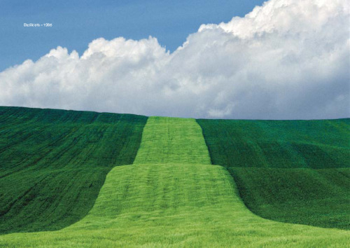 casadabiqueira:  Basilicata Franco Fontana, 1985 