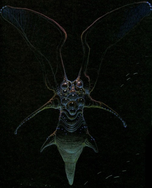 talesfromweirdland:Alien designs by Mœbius for James Cameron’s The Abyss (1989).