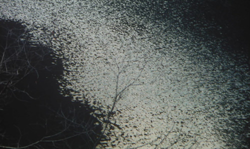 hinoenmayokai: Death of a Tea Master (千利休 本覺坊遺文), Kei Kumai, 1989