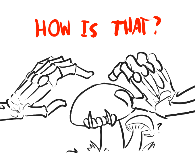 chipper-skeleton:just-mushroom-thoughts:chipper-skeleton:just-mushroom-thoughts:chipper-skeleton:just-mushroom-thoughts:Ok