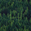 hayesinthewoods