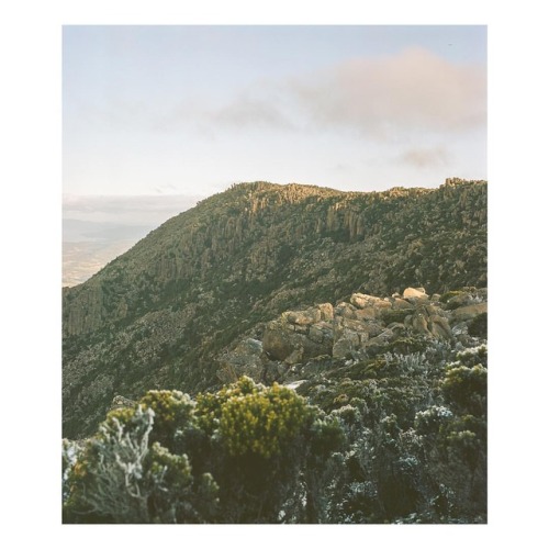 Looking south from the pinnacle towards the dolerite columns near Rocking Stone. Mamiya RB67 Pro-S /