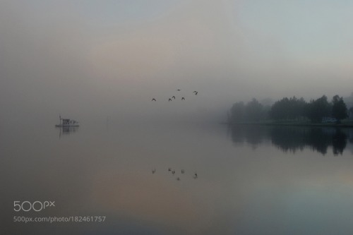 Foggy Foreshore by bradlambertphotography