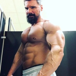 Muscle Bear Worship