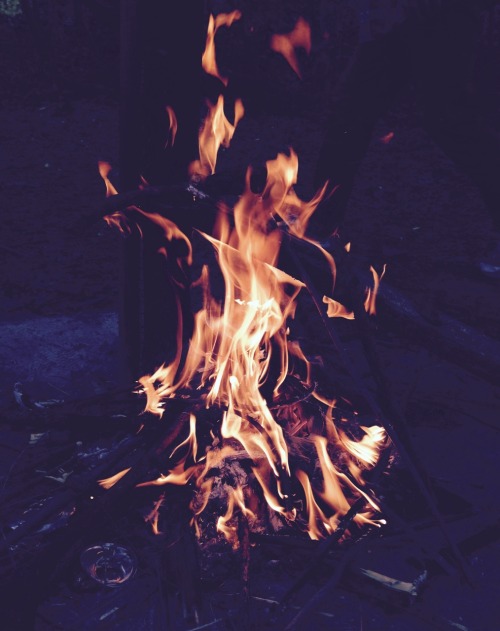 imasstraightasacircle:  Am I the only one who thinks fire is like really beautiful can we just look at it for a second 