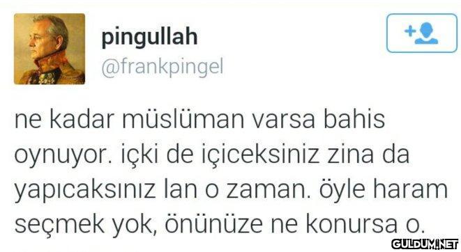 pingullah @frankpingel ne...