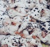 worldssmallesttrampoline:🐶 Piles of Dalmation puppies. 
