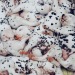 worldssmallesttrampoline:🐶 Piles of Dalmation puppies. 