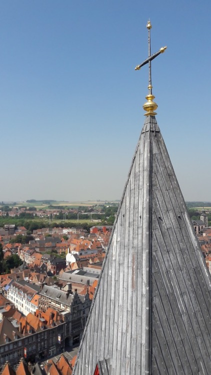 Doornik - Tournai - Onze-lieve-vrouwe kathedraal. (2018)