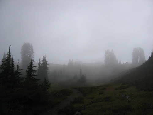 dulldrops:  more here