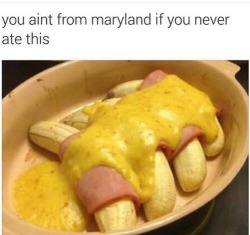 thaunderground:  onikalynnegoddamn:  karrmennn:  ducire:  goldenpoc:  brownbbygirl:  wastedcouth:  ainyanan:  @wastedcouth QTNA???  i’m not from maryland, i’m only here on vacation.  this how y'all living? @holdthequeso  That’s fawkin bile  @karrmennn