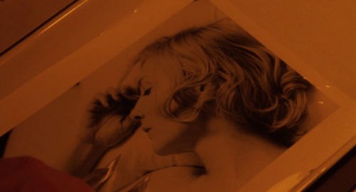 mydarktv:CAROL // Aesthetics