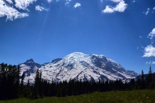 adventuresofaura: “The Mountain”; Mt Rainier from Sunrise captured on my birthday August