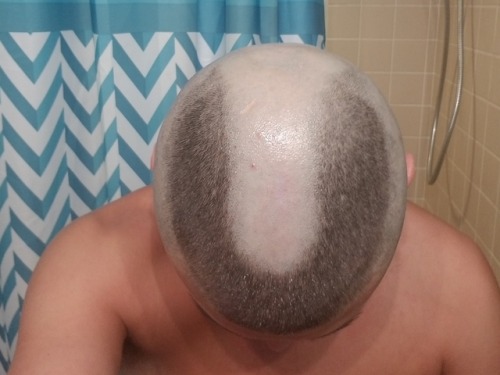 slave4shave08: Horseshoe Flat top