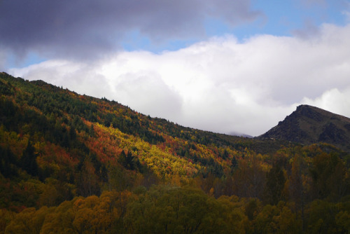 20190421 - Arrowtown, New Zealand: Early morning fog and rain turning into blue skies. Mum wanted to