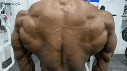 perfectmusclemen:  muscleryb:  Fernando Chala     Please repost and follow: https://perfect musclemen.tumblr.com/ 🖤
