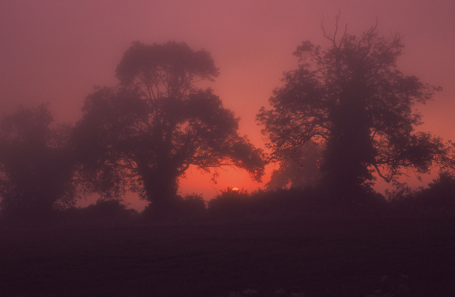 mydarkenedeyes:Rob Stanier
