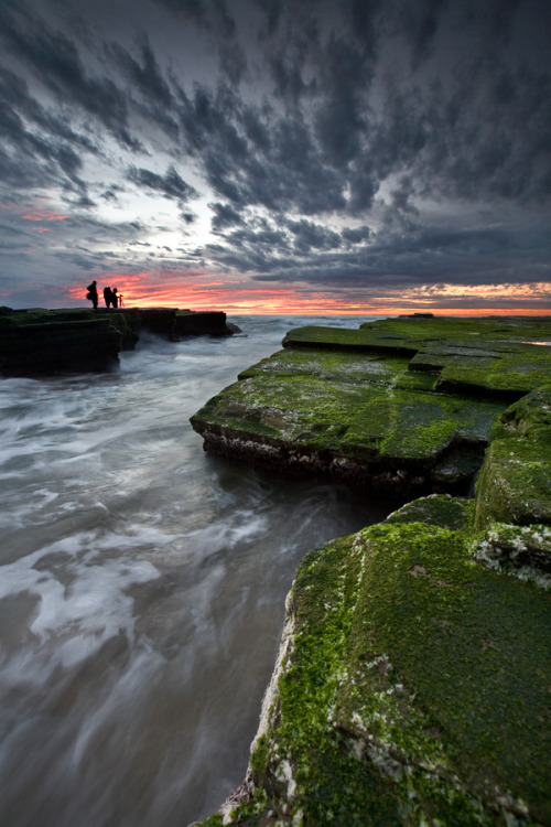 llbwwb:  (via 500px / Month of Magical Moss by Xenedis)