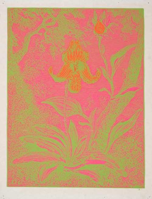 electripipedream: Untitled Hambly Blacklight Poster 1960s