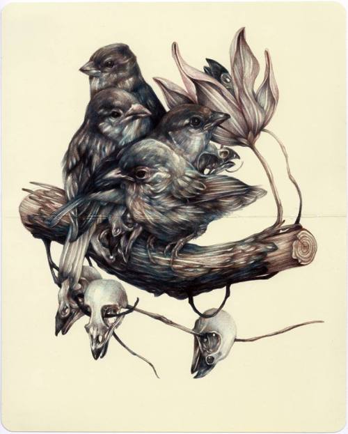 lohrien:  Illustrations by Marco Mazzoni on tumblr   