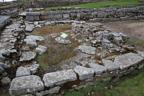 thesilicontribesman: Shops, Workshops and a Tavern, Vindolanda Roman Fort, Northumberland, 29.4.18. 