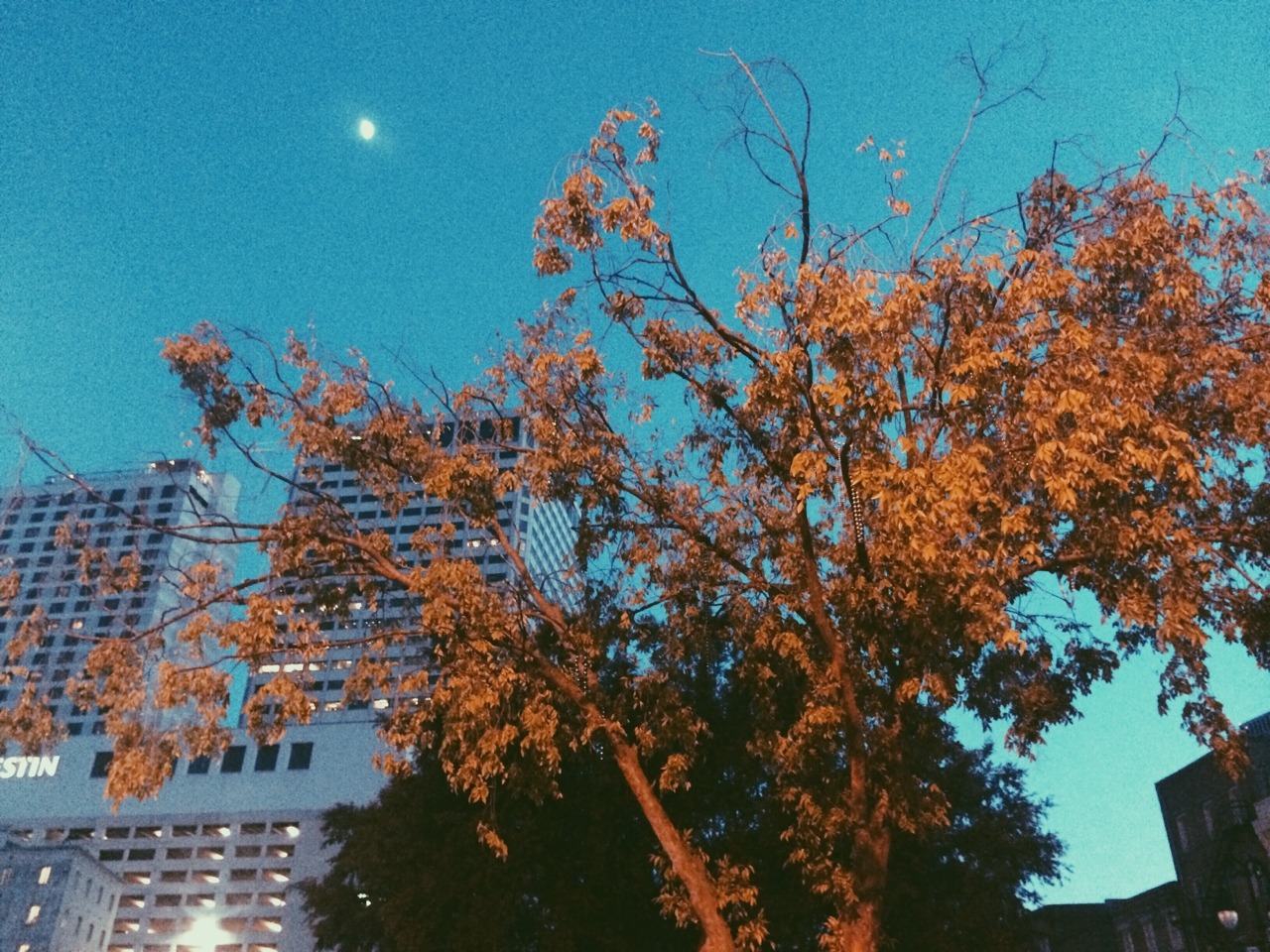 pop4ill:  nightfall
