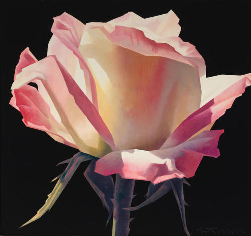 ED MELLPink RoseOil on Canvas30″ x 32″