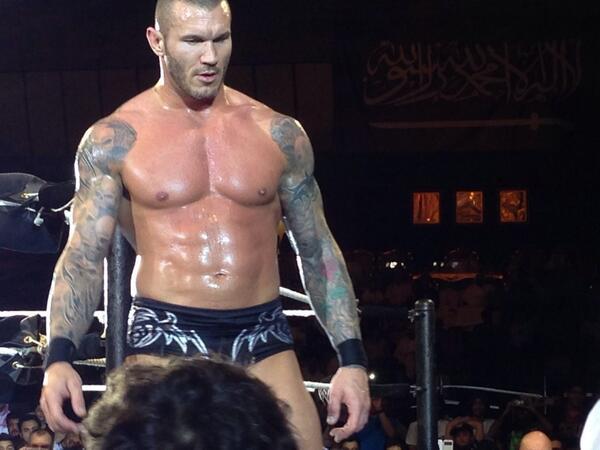 The Highflying Ninja