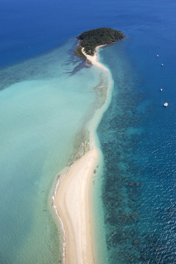 travelingcolors:  Langford Island, Whitsundays